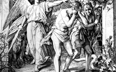 Genèse 3.21 ou des habits de peau