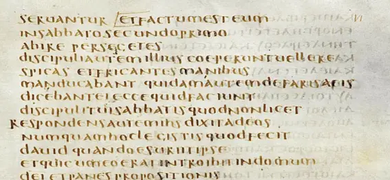 Le Codex de Bezae Cantabrigiensis