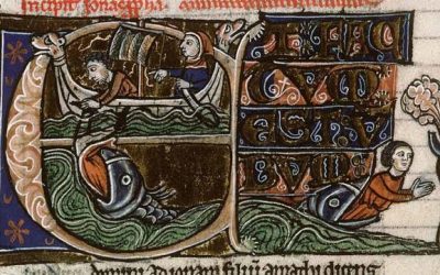 Jonas 4.6 : ricin ou qiqayon ?